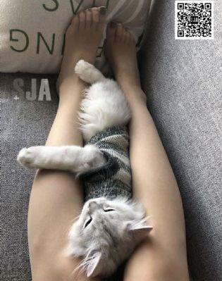 《英雄志》电视剧_在线观看视频