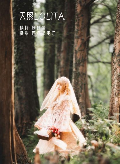 午夜片电影_4K手机在线观看