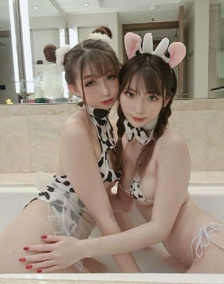 追龙2电影完整版在线观看国语_BD国语超清在线观看