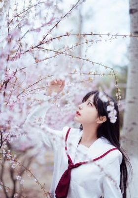 泪壶电影完整版_在线视频网